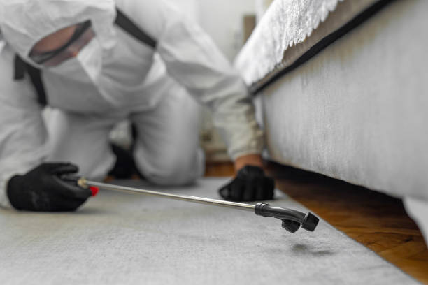 Professional Cockroach Control technician working in North Kingsville, OH