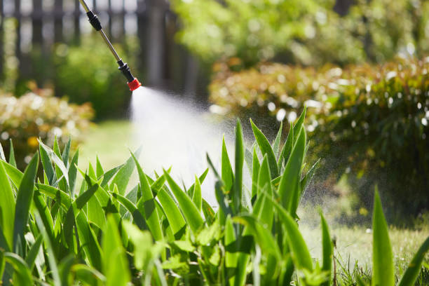 24/7 Emergency Cockroach Control experts in North Kingsville, OH